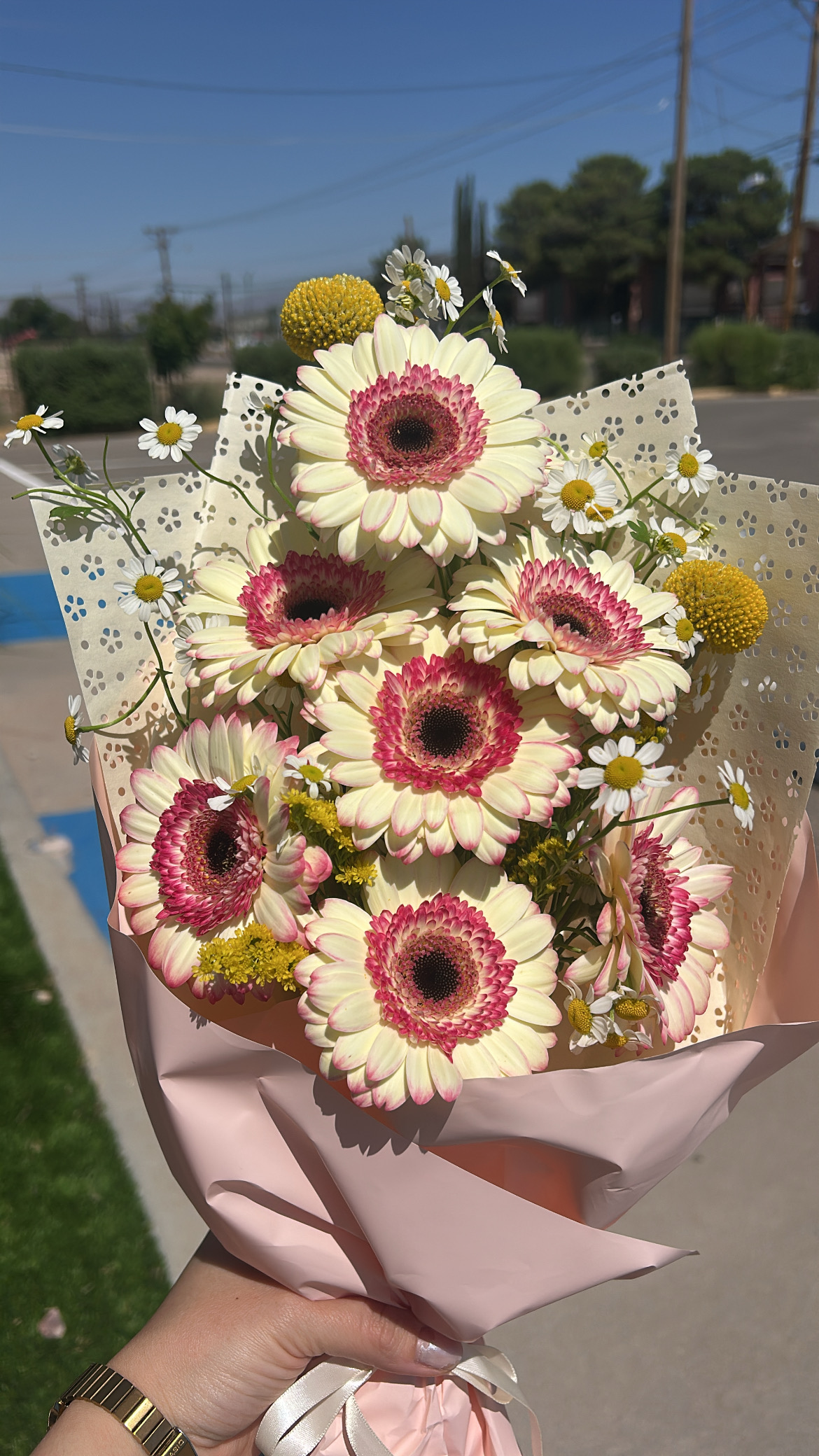 Sophia holding a cream and pink gerbera daisy bouquet by Beauty & Splendor Blooms